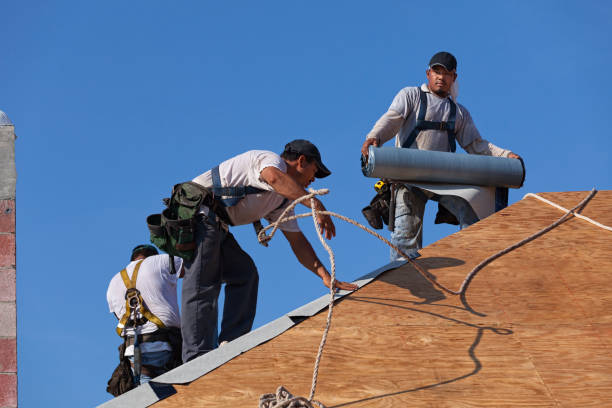 Best Storm Damage Roof Repair  in Storm Lake, IA
