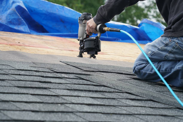 Roof Gutter Cleaning in Storm Lake, IA